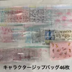 ジップバッグ　キャラクター　ポケモン　すみっコぐらし　ディズニー　サンリオ