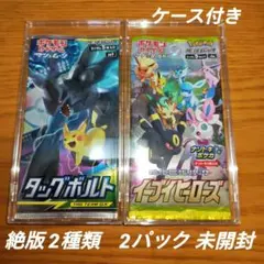 ポケモンカード 名探偵ピカチュウ & スカイレジェンド 未開封パック 2