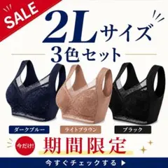 【期間限定SALE✨】ナイトブラ 2L 3枚セット 美胸 ノンワイヤー お得