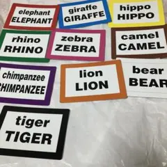 家庭保育園　日本語・英語　フラッシュカード 動物・鳥・海の生き物　絵カード30枚のサムネイル