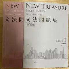 NEW TREASURE ENGLISH SERIES 文法問題集