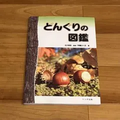 ノルルトルココルルス様 リクエスト 2点 まとめ商品