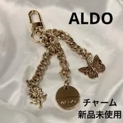 ALDO チャーム バッグチャーム
