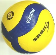5号 バレーボール