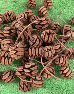 fumi様 リクエスト 3点 まとめ商品