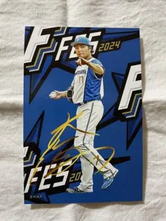 伊藤大海 ファイターズ　グッズ　いろいろ　セット