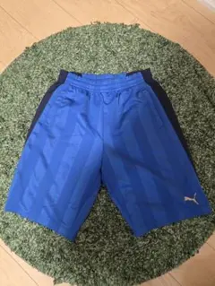 Puma ストライプ 青 ハーフパンツサイズM