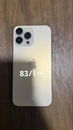 iPhone13proMax 256GB