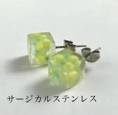 ミモザピアス フロスト手磨きレジン サージカルステンレス