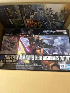 抽選HG 1/144 グフイグナイテッド (ハイネ・ヴェステンフルス専用機)