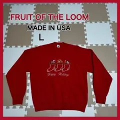 90s フルーツオブザルーム USA製 クリスマス 刺繍デザイン スウェット