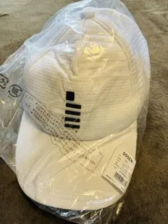 Item thumbnail for item bcda772f-926c-4744-924e-e3faed9e2d1d