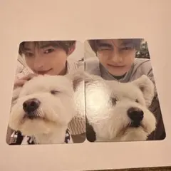 Item thumbnail for item 2a15a2bb-0576-47fe-8c18-4c280146ec0f