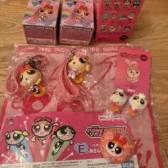 パワーパフガールズ　ブロッサムグッズセット