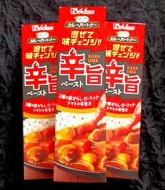 3本セット House 味変 辛旨ペースト カレーパートナー ハウス チューブのサムネイル