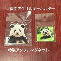 シャンシャン9歳 両面アクリルキーホルダー & アクリルマグネット 大
