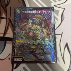 時空の停滞シュタイヴァル/停滞の覚醒者シュタイヴェルト