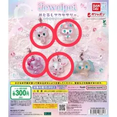 ジュエルペットめじるしアクセサリー キラキラオーロラver.