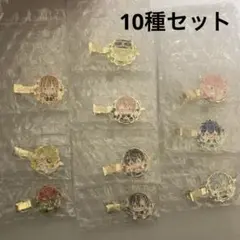 カラフルピーチ　メタルヘアクリップ　10種セット(どぬく以外)