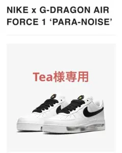NIKE x G-DRAGON ‘PARA-NOISE’パラノイズ27.5