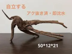 2026年最新】マシンガンウッドの人気アイテム - メルカリ