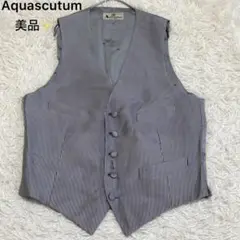 美品✨ アクアスキュータム ベスト シルバーストライプ柄 前身頃シルク100％