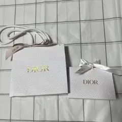 Dior ギフトバッグ2個セット