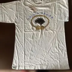 KRIZIA JEANS 半袖Tシャツ ブルーSサイズ イタリア製のサムネイル