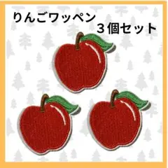 赤りんご　アイロン　ワッペン　3個セット
