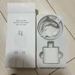 iPhone 15 Pro Max 20W USB-Cアダプタセット
