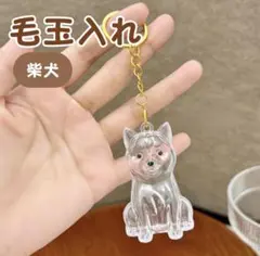 《柴犬》毛玉入れ 犬の毛収納ケース けだまだま キーホルダー メモリアル