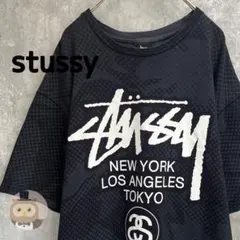 STUSSY◎ドラゴン 龍 ストックロゴ スウェット D560 - メルカリ