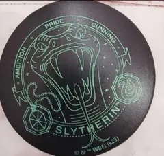 ハリーポッター☆スリザリンコースター
