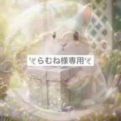 ◆らむね様専用◆リクエスト 2点 まとめ商品
