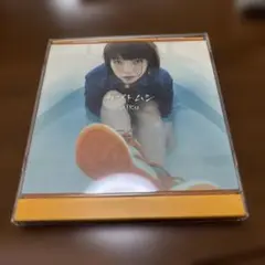 aiko/カブトムシ
