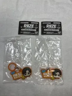 『匿名配送』 RIIZE ぷっくりめじるしアクセサリー アントン