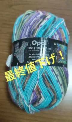 Opal 毛糸 100g 425m マルチカラー