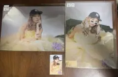 FRUITS ZIPPER 仲川瑠夏　生誕　クリアポスター　トレカ　生誕　②