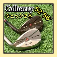 Item thumbnail for item 2623a956-e8d0-4d32-85d4-43035fb2ed5e