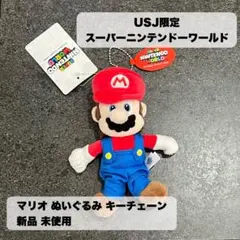 USJ限定 スーパーニンテンドーワールド マリオ　ぬいぐるみ キーチェーン 新品