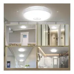 Item thumbnail for item c5b52adf-f162-4656-b274-0befdb848c43