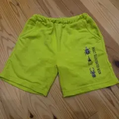 昆虫　かぶとむし　半ズボン　120 園