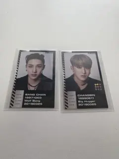 oddinary maniac スキズstraykids バンチャン　チャンビン