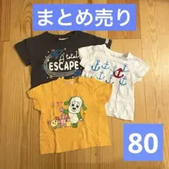 ベビー Tシャツ いないいないばあっ！ 3枚セットまとめ売り保育園着 80cmのサムネイル