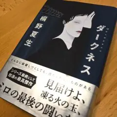 ダークネス　桐野夏生