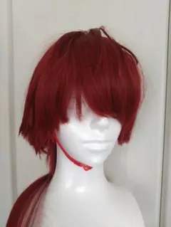 原神 イルーガ ウィッグ コスプレ - メルカリ