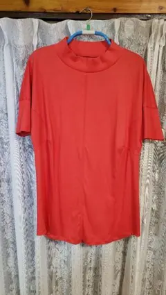 Item thumbnail for item 81bc985f-d95a-4121-9e81-30f5d4134534