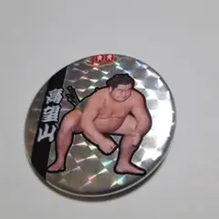 Item thumbnail for item 4a9a1929-7023-408b-b690-eb19cf811d64