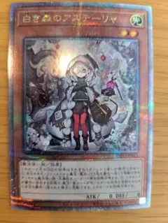 2025年最新】アステーリャ 25の人気アイテム - メルカリ