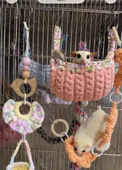 【hibi__to】小動物ブランコ⭐︎モモンガブランコのサムネイル